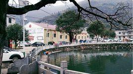 沙港馮自然村 沙港馮自然村