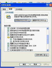 資料夾選項 資料夾選項