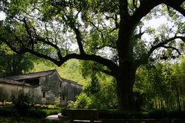 方家河頭村 方家河頭村