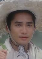 仙鶴神針[梁朝偉主演電影]