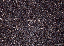 黑脂麻[黑脂麻]