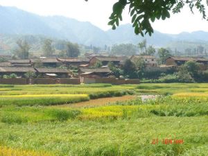 碧大寨自然村 碧大寨自然村