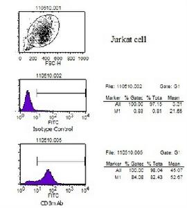CIK細胞治療用小鼠抗人CD3單抗