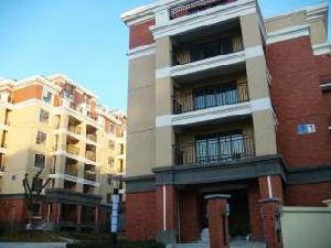 金域中央街區 金域中央街區