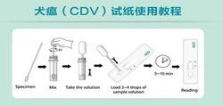 CDV試紙使用簡介