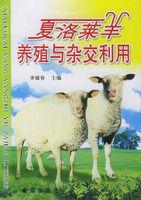 夏洛萊羊養殖與雜交利用 夏洛萊羊養殖與雜交利用