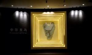 朝陽鳥化石世界地質公園