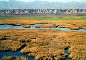 鼎湖灣風景區 鼎湖灣風景區