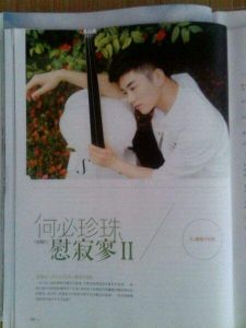 何必珍珠慰寂寥Ⅱ