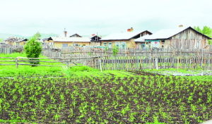 白銀納鄂倫春族鄉 白銀納鄂倫春族鄉