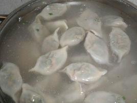 八爪魚餡餃子 八爪魚餡餃子