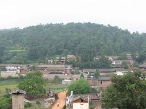 打龍寨自然村 打龍寨自然村