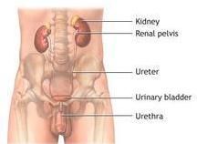 慢性尿道炎的危害
