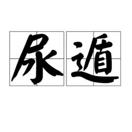 尿遁 尿遁