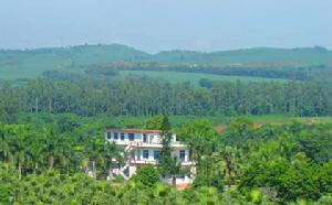 三嶺山森林公園