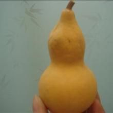 誠牌1005 誠牌1005