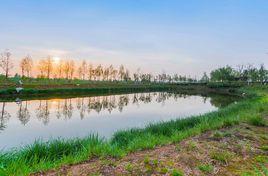 灃河濕地公園 灃河濕地公園