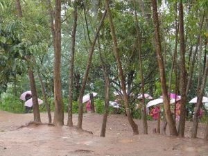 上白池自然村 上白池自然村