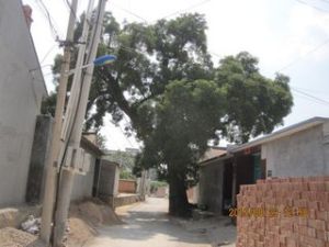 大泥河頭村 大泥河頭村