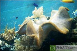 國立海洋生物博物館