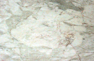 法國香草 | French Vanilla |