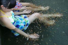 小魚溫泉 小魚溫泉