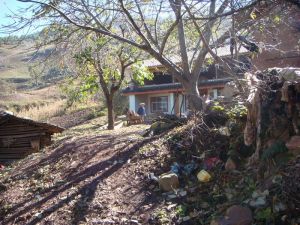 愛崩期村 愛崩期村