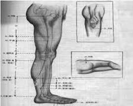 蹲踞現象 蹲踞現象