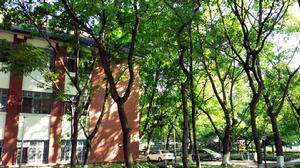 重慶大學B區校園風光