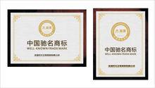 中國馳名商標