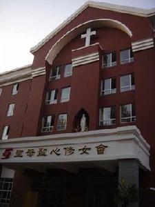 聖母聖心會 聖母聖心會