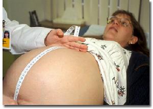 （圖）衡量胎兒大小