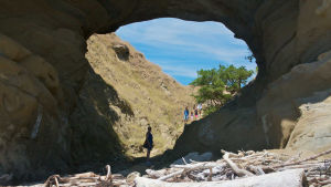 庫克灣步行道 庫克灣步行道