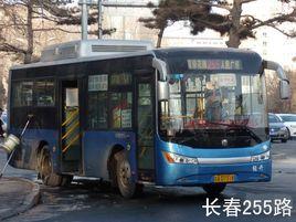長春公交255路 長春公交255路