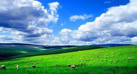 克什克騰大草原 克什克騰大草原