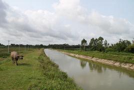 雷州青年運河 雷州青年運河
