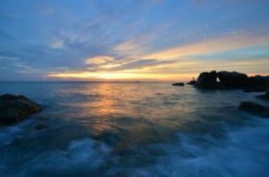 魚鱗洲自然風景保護區 魚鱗洲自然風景保護區