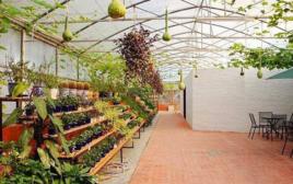 惠州市海洋生態園 惠州市海洋生態園