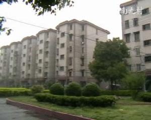 淞南九村新苑 淞南九村新苑