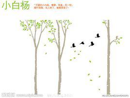 《小白楊》[樑上泉與士心創作的歌曲]