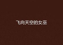 飛向天空的女巫