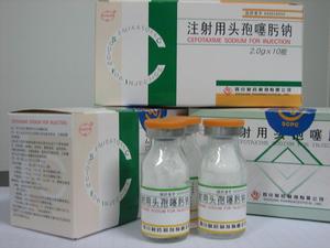 注射用頭孢噻肟鈉溶媒結晶 注射用頭孢噻肟鈉溶媒結晶