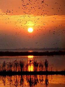 大雲山國家森林公園