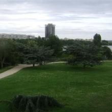 邁松阿爾福 邁松阿爾福