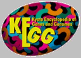 KEGG KEGG