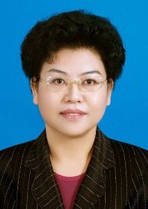 劉慧[寧夏回族自治區黨委原副書記]