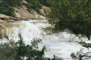 煙臺崑崙山踏春節