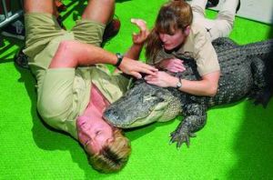 斯蒂夫&middot;厄文