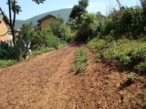 泥西自然村 泥西自然村