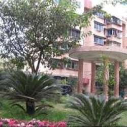 星光大道D區 星光大道D區